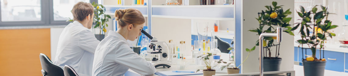 Bild Mitarbeiter im Labor